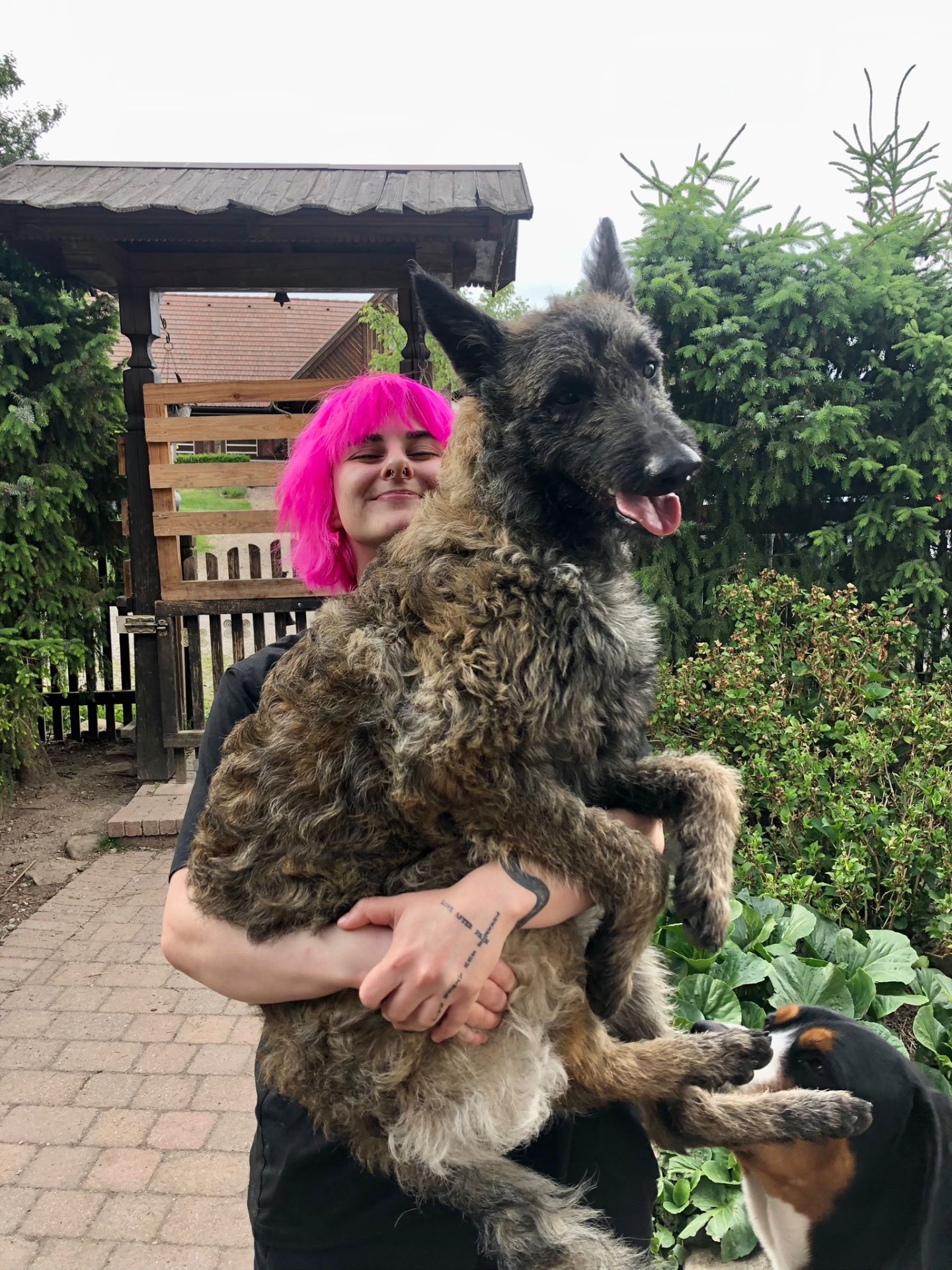 Úprava mazlíčka — Psí salon Lola Jičín